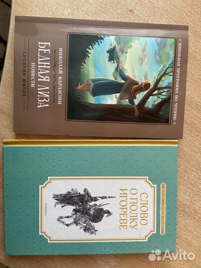 «Бедная Лиза» книга