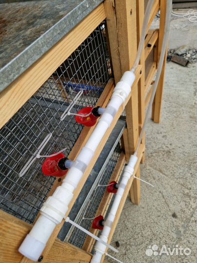 Клетки для перепелов б/у