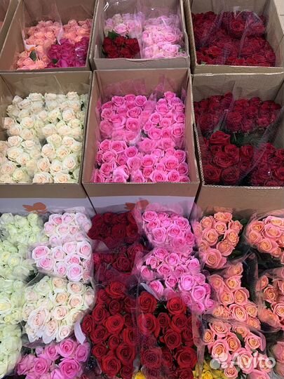 Цветы, розы оптом, букеты. 51 роза,75 роз,101 роза