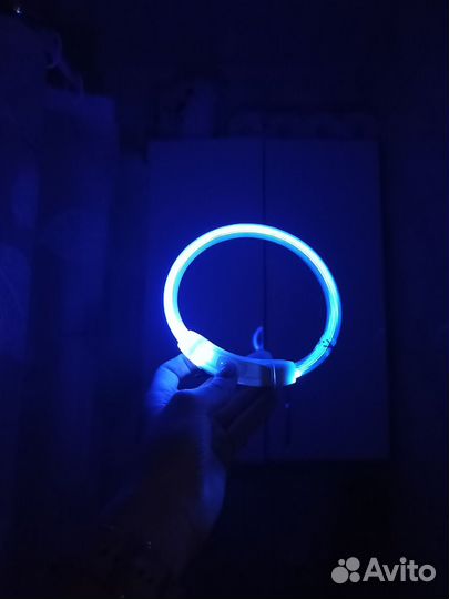 Светящийся ошейник для маленьких собак