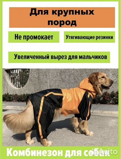 Комбинезон для крупной собаки
