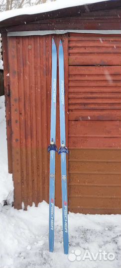 Лыжи беговые fischer max base