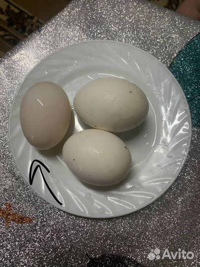 Яйца куриные и утинные