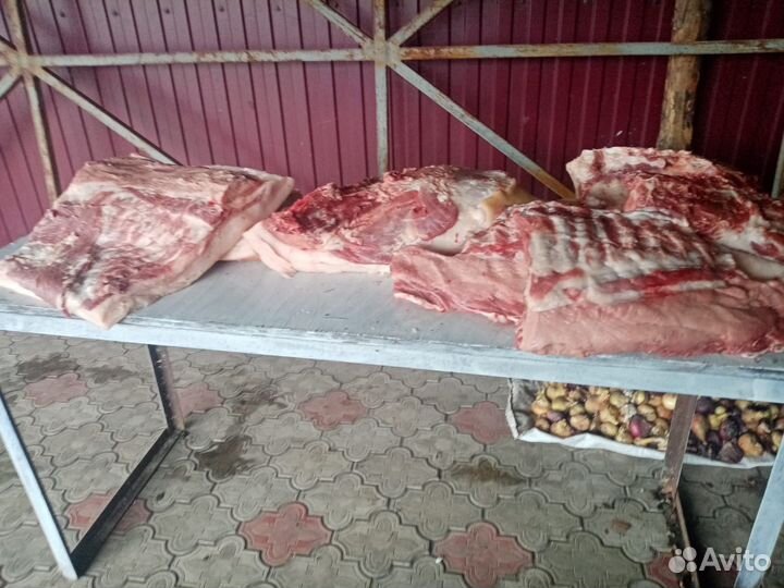 Мясо свинина домашняя
