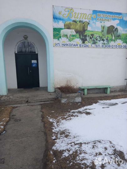 Ветеринарный врач