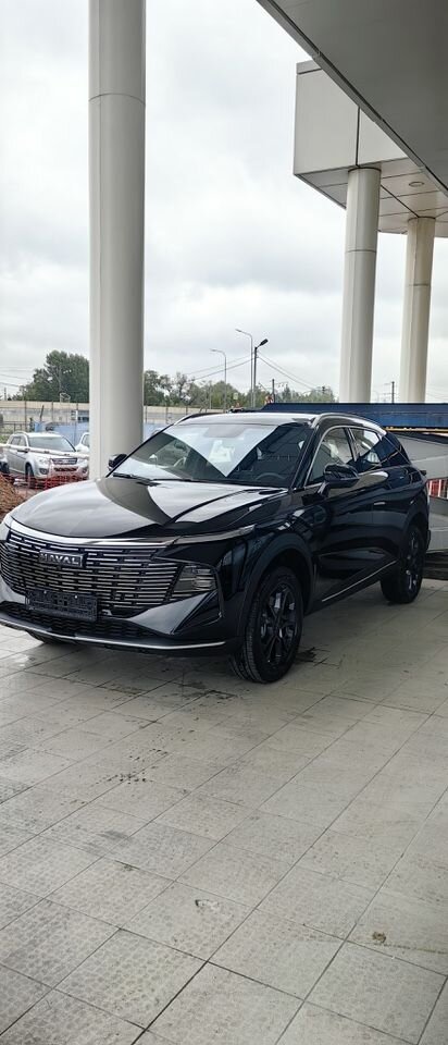 HAVAL F7: фото владельца