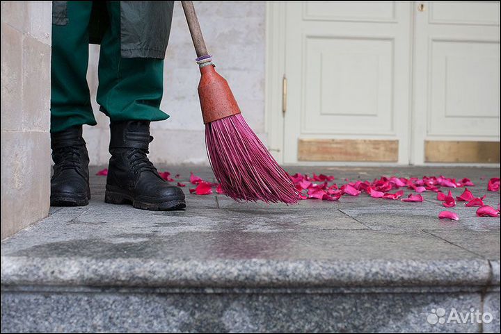 Дворник (еженедельные выплаты)