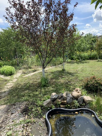 Дача 50 м² на участке 6 сот.