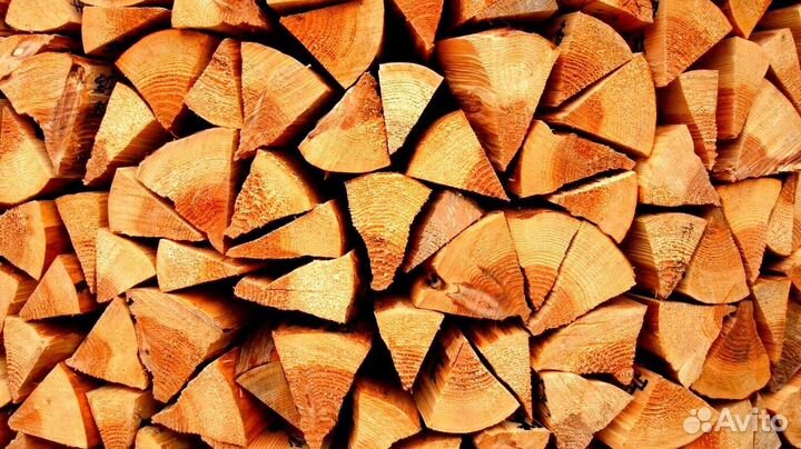 Дрова летней заготовки
