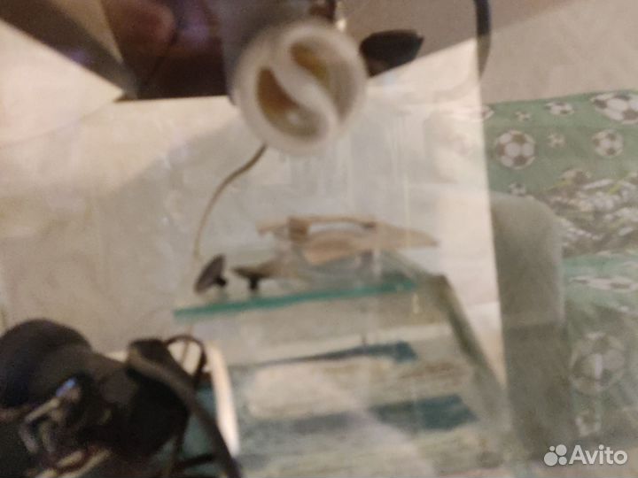 Аквариум для красноухой черепахи