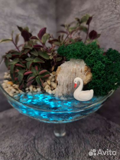 Флорариум. Цветы. Композиции из цветов