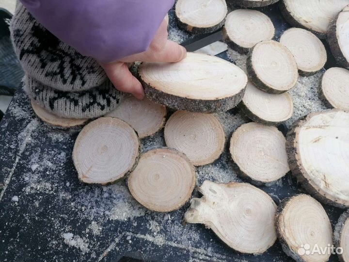 Спилы дерева Ясень