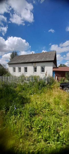 Дом 54 м² на участке 33 сот.