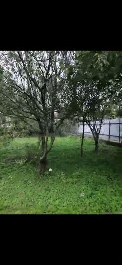 Участок 8 сот. (ИЖС)