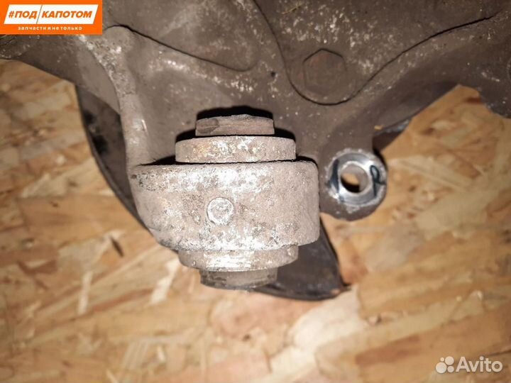 Кулак задний правый Honda Accord 8 (2007 - 2011)