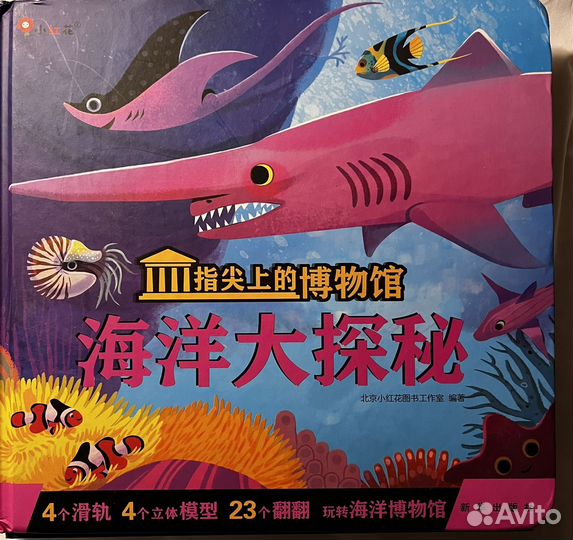 2 книги для детей па китайском языке