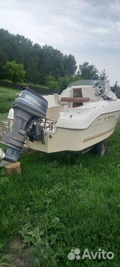 Катера и яхты