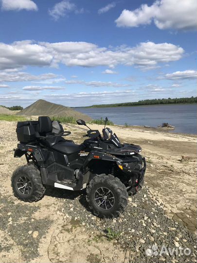 Стелс гепард