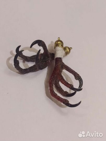 Кулоны из птичьих лап