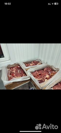 Свежая телятина с доставкой