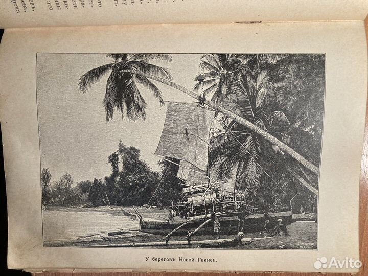 Австралия и полярные страны Илл географ 1912