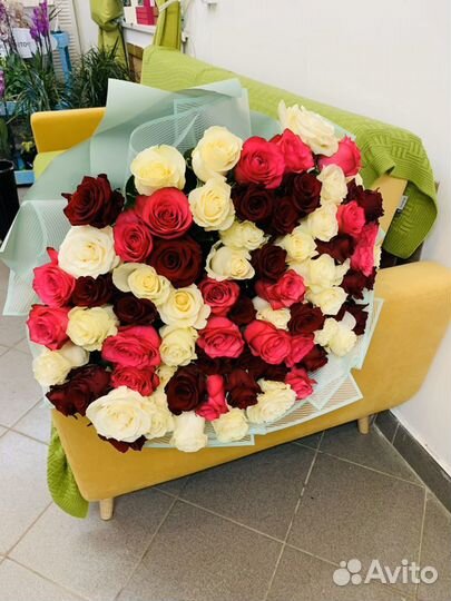 Роза Эквадор