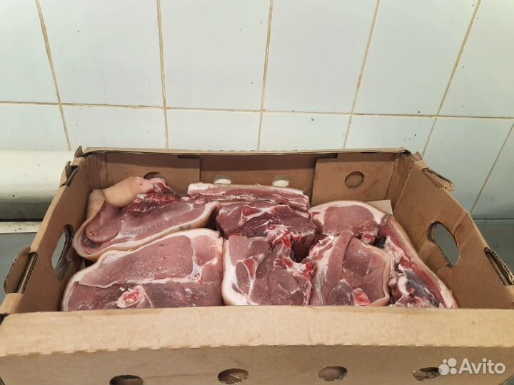 Мясо свинина
