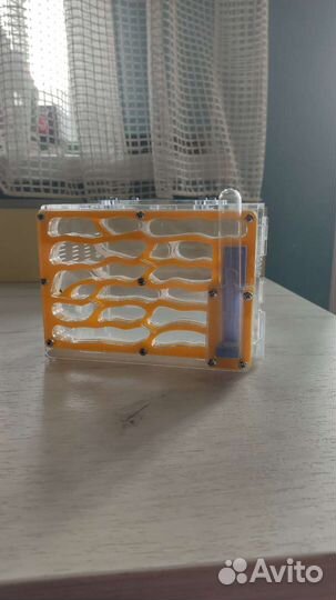 Муравьиная ферма