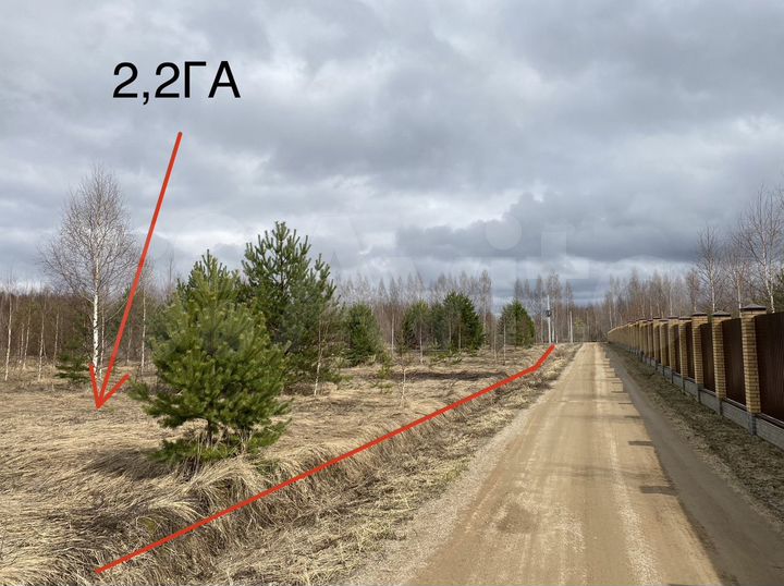 Участок 2388,3 га (ИЖС)