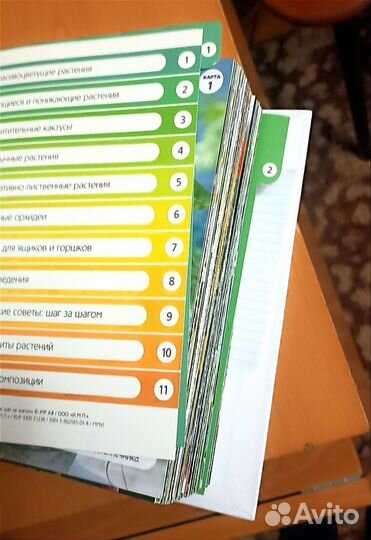 Энциклопедия комнатных растений