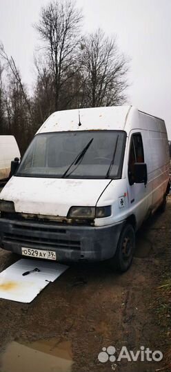 Fiat ducato