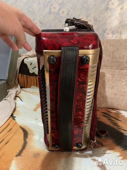 Аккордеон horch