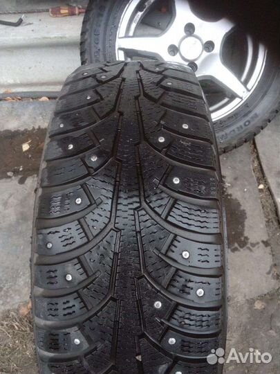 Nordman WR 175/65 R15