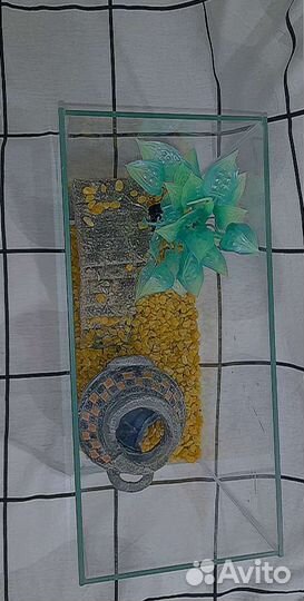 Аквариум с аксессуарами