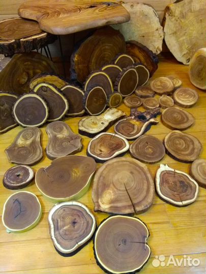 Спилы дерева