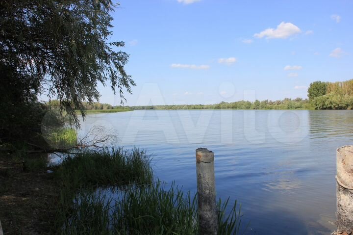 Участок 60 сот. (СНТ, ДНП)