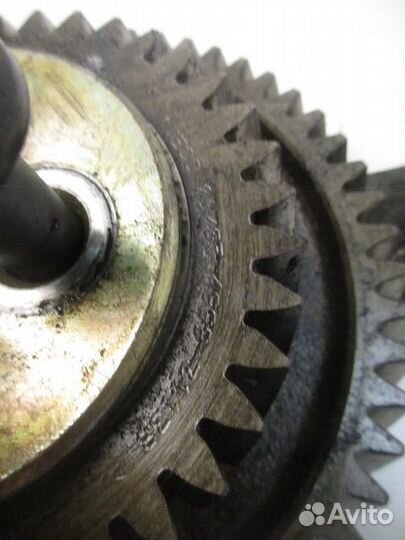 Шестерня грм промежуточная Iveco Stralis