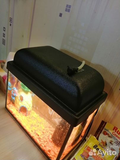 Аквариум для рыбок бу