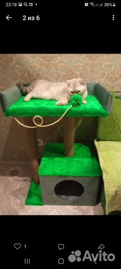 Домик для кошки (мейн-куна )с когтеточкой