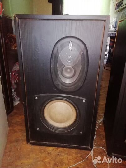 Колонки типа Кливер 100ас-002