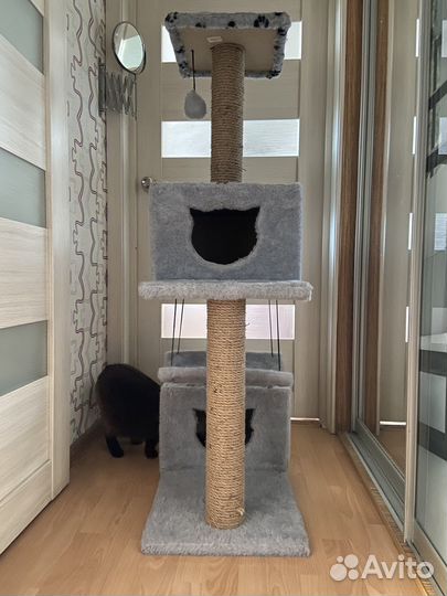 Домик для кошки бу