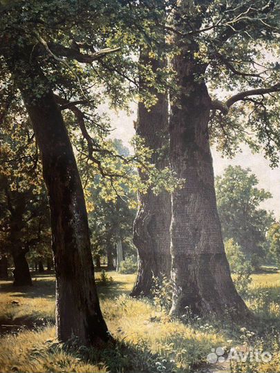 Картина репродукция И.И. Шишкин Дубы