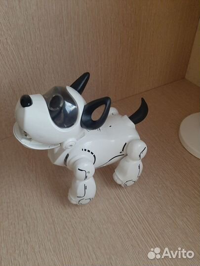 Собака робот