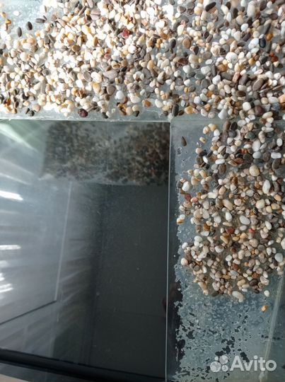 Аквариум для черепах