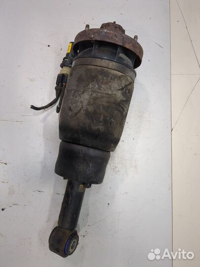 Амортизатор подвески Ford Expedition, 2005