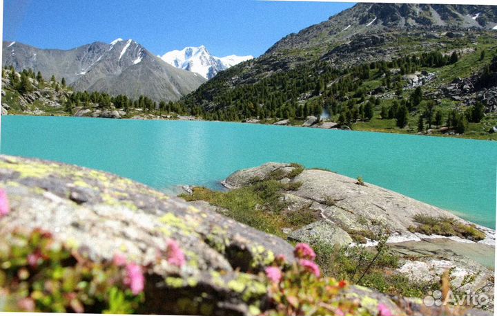 На Алтай летом турпутевка экскурсия до 8 дн