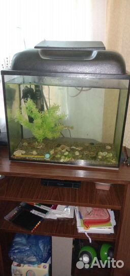 Аквариум 30л
