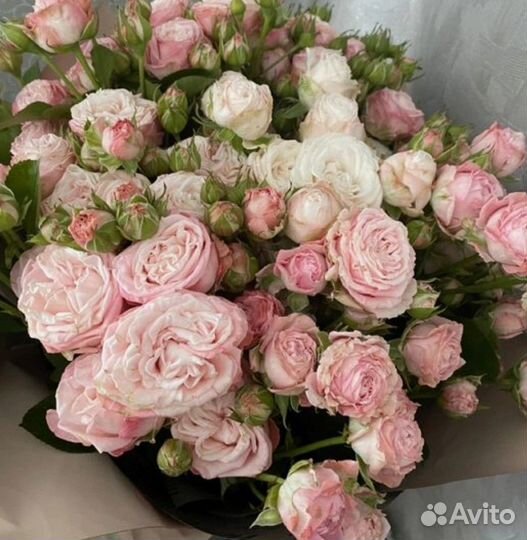 51 101 Роза Букеты Цветы