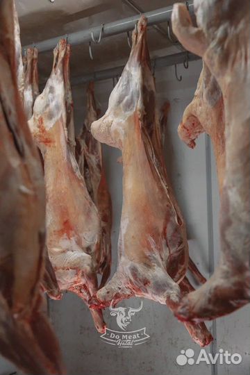 Баранина тушка