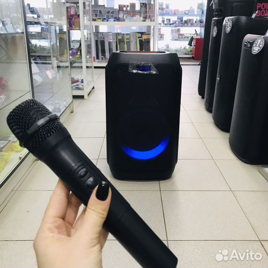 Колонка с микрофоном 20-01 dance BOX 300